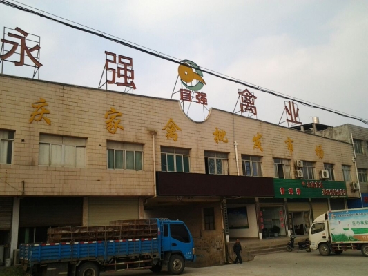 赤峰低價(jià)燈光批發(fā)電話地址查詢-第1張圖片