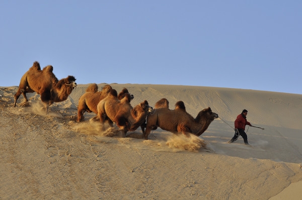 赤峰二龍鋼廠電話地址查詢-第1張圖片