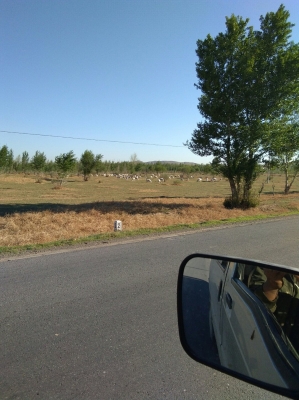 內(nèi)蒙古赤峰定額站電話號(hào)碼-第1張圖片