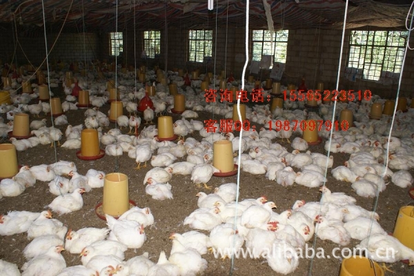 赤峰硅鉬棒廠家地址電話號碼-第1張圖片