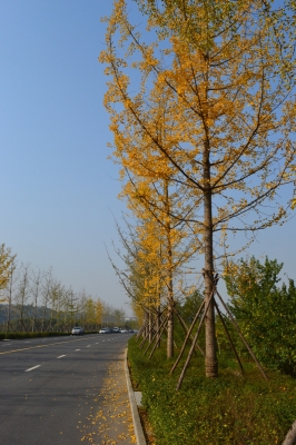 赤峰搜影公司地址電話號碼-第1張圖片