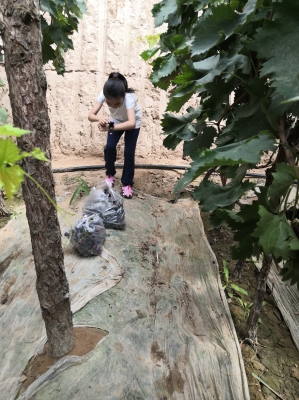 赤峰多寶水果采摘園電話號碼-第1張圖片