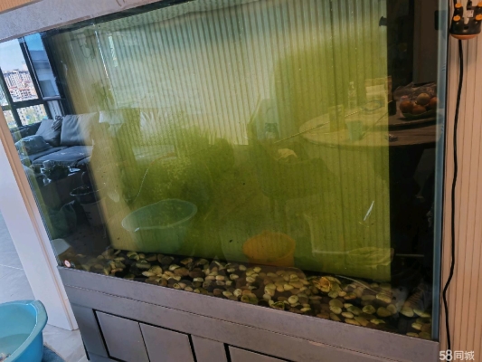 赤峰回收魚(yú)缸電話號(hào)碼多少-第1張圖片