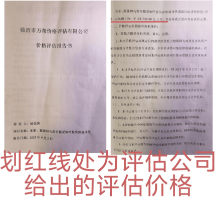 赤峰水貂養(yǎng)殖廠地址電話號(hào)碼-第1張圖片