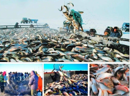 赤峰冰雕制作廠家地址電話號(hào)碼-第1張圖片