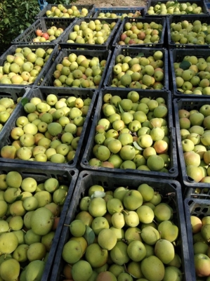 赤峰樓房吊筐廠家電話號碼-第1張圖片