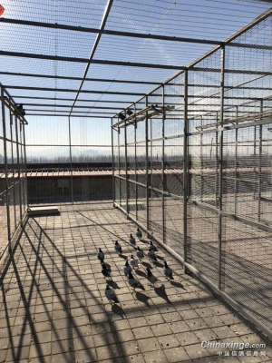 赤峰景觀休閑棚廠家電話號(hào)碼-第1張圖片