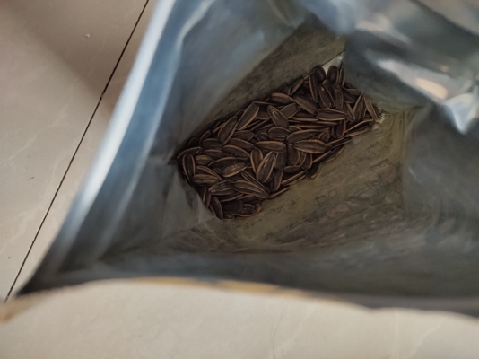 赤峰瓜子經(jīng)紀人招聘電話號碼-第1張圖片