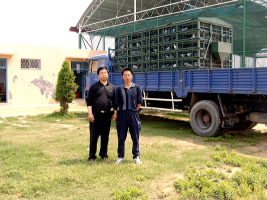 赤峰市信鴿郵寄地址電話號碼-第1張圖片