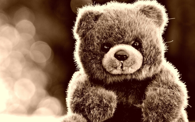 赤峰玩具熊實(shí)體店電話號(hào)碼-第1張圖片