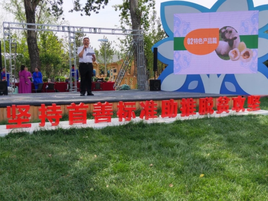 赤峰大板鎮(zhèn)圖書館電話號碼-第1張圖片