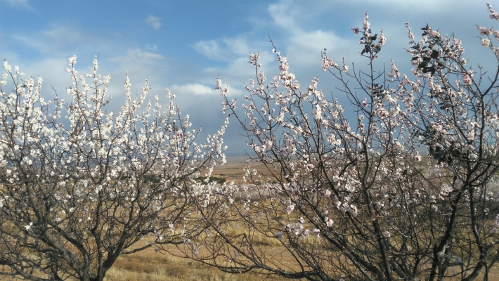 赤峰寧城縣鐵西社區(qū)電話號(hào)碼-第1張圖片