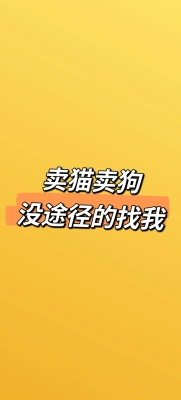 赤峰良心寵物店地址電話號(hào)碼-第1張圖片