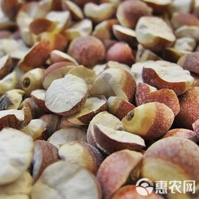 芡實(shí)加工廠聯(lián)系電話-第1張圖片