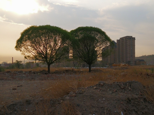 赤峰紅山區(qū)大橋社區(qū)電話號(hào)碼-第1張圖片