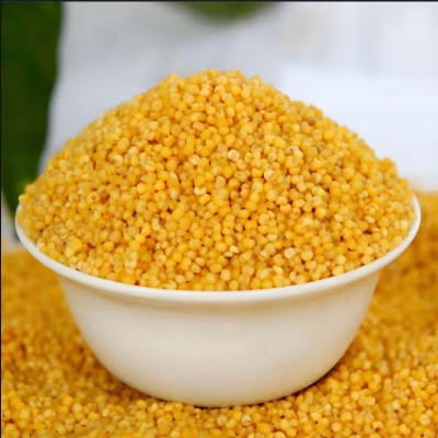 赤峰小米售后維修點(diǎn)電話號(hào)碼-第1張圖片