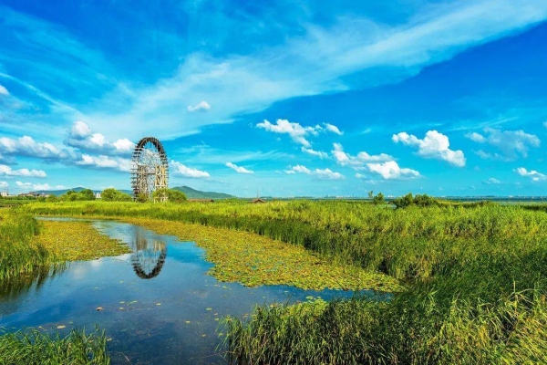 赤峰蘆葦養(yǎng)植基地電話號(hào)碼-第1張圖片