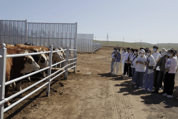 赤峰寵物狗繁育中心電話號(hào)碼-第1張圖片