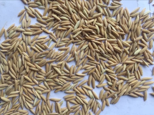 赤峰德陽齋糕點(diǎn)店地址電話號(hào)碼-第1張圖片