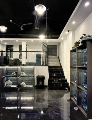 赤峰異類寵物店地址電話號碼-第1張圖片