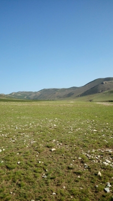 赤峰巴林左旗紅娘店電話號碼-第1張圖片