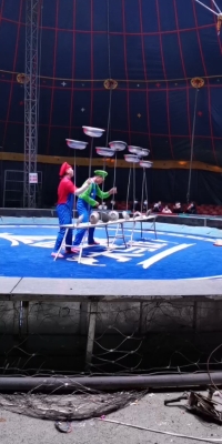 赤峰橋北馬戲團電話號碼-第1張圖片