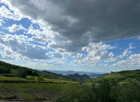 洛陽到赤峰市客車電話號(hào)碼-第1張圖片