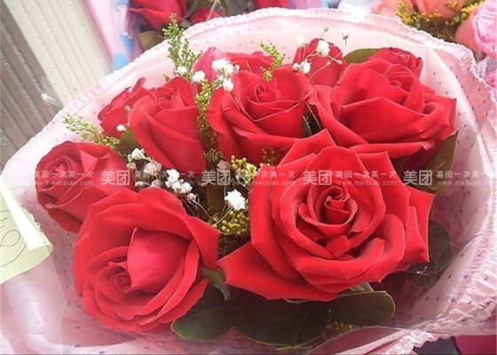 赤峰團(tuán)購(gòu)鮮花電話號(hào)碼查詢-第1張圖片